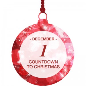 Countdown to Christmas A Cozy Christmas gift basket
