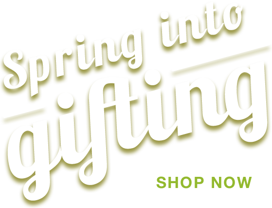 Spring into gifting, Easter gift baskets filled with chocolate treats, gourmet foods, toys and more!