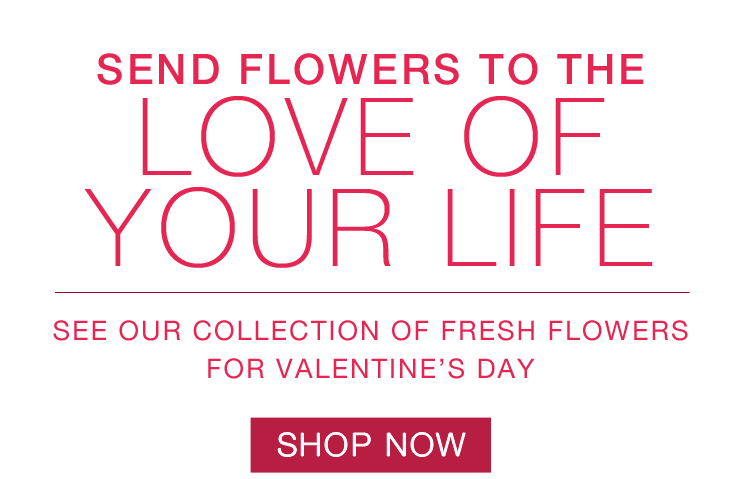 Fresh Flowers Bouquet for Valentine's Day, Flower collection, rose, red rose, One Dozen Long Stemmed Red Roses, two dozen roses, cupid's creation, Bouquet with Red Roses