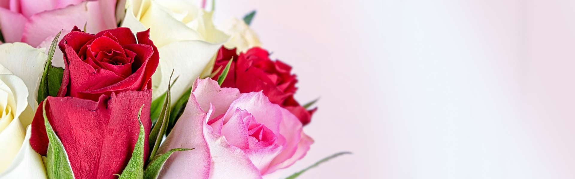 Gift Baskets Windsor Free delivery in Windsor, Ontario