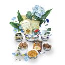 Apollo 24 Carat Gold Hand painted Fruit Bowl Set - Deluxe