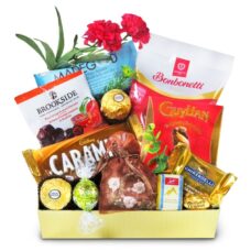 Tween and Teen Gifts