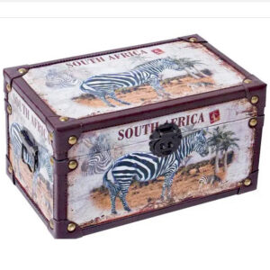 Safari Fun